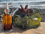 angel glow face oil