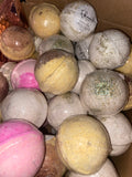 paradise bath bombs